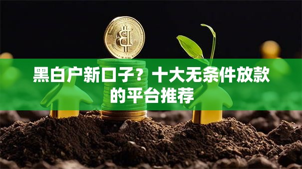 黑白户新口子？十大无条件放款的平台推荐