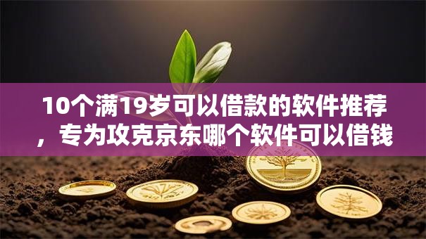 10个满19岁可以借款的软件推荐，专为攻克京东哪个软件可以借钱难题