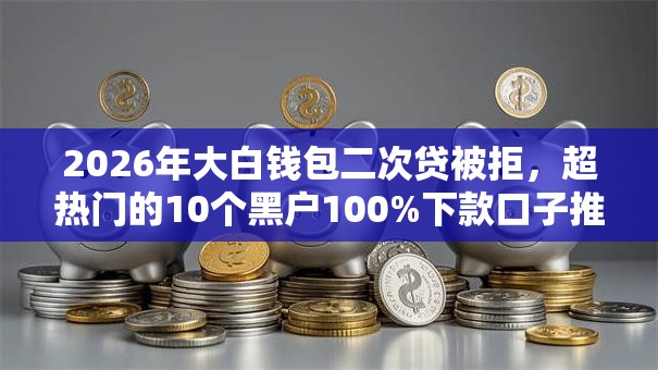 2026年大白钱包二次贷被拒，超热门的10个黑户100%下款口子推荐