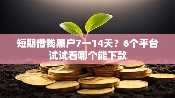 短期借钱黑户7一14天？6个平台试试看哪个能下款