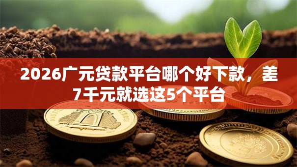 2026广元贷款平台哪个好下款，差7千元就选这5个平台