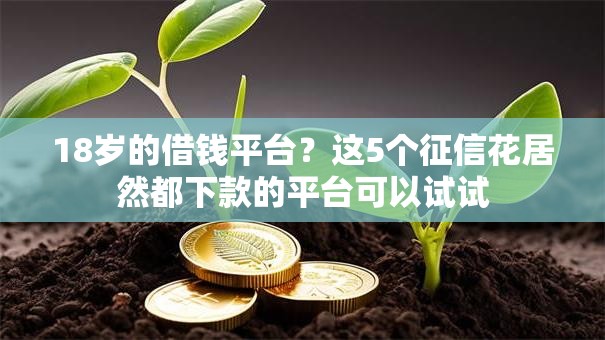 18岁的借钱平台?这5个征信花居然都下款的平台可以试试 18岁的借钱平台?这5个征信花居然都下款的平台可以试试