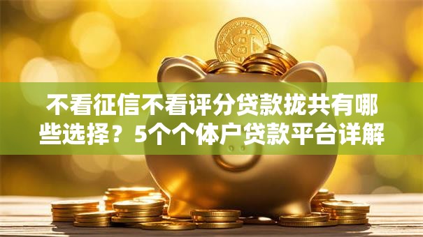不看征信不看评分贷款拢共有哪些选择?5个个体户贷款平台详解 不看征信不看评分贷款拢共有哪些选择?5个个体户贷款平台详解