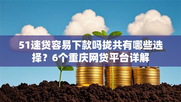 51速贷容易下款吗拢共有哪些选择？6个重庆网贷平台详解