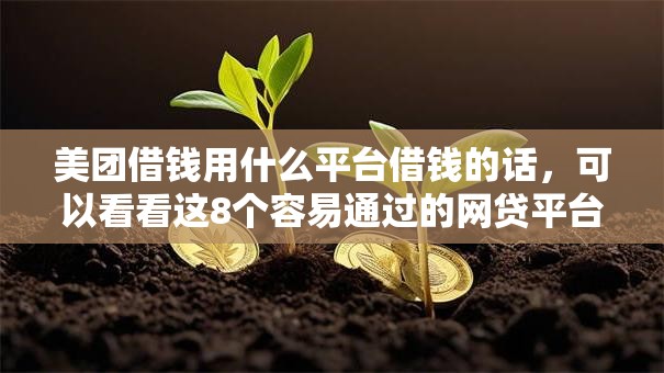 美团借钱用什么平台借钱的话，可以看看这8个容易通过的网贷平台