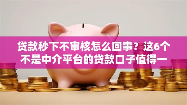 贷款秒下不审核怎么回事？这6个不是中介平台的贷款口子值得一试