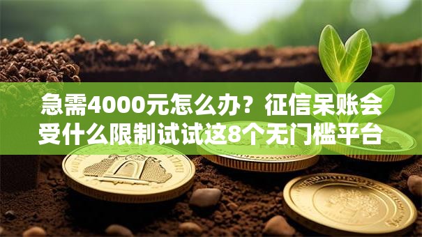 急需4000元怎么办?征信呆账会受什么限制试试这8个无门槛平台 急需4000元怎么办?征信呆账会受什么限制试试这8个无门槛平台