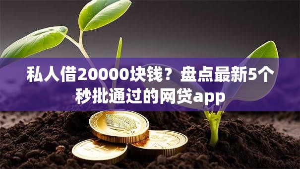 私人借20000块钱？盘点最新5个秒批通过的网贷app