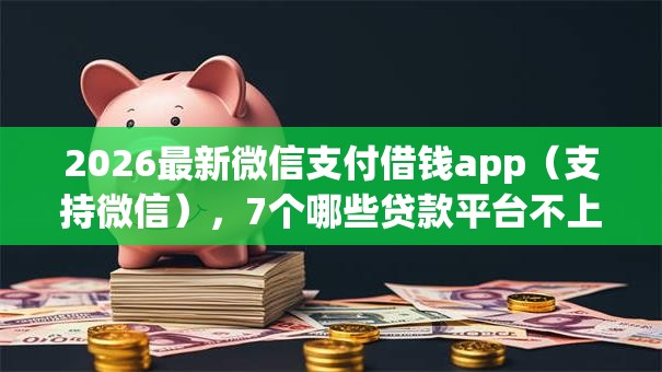 2026最新微信支付借钱app（支持微信），7个哪些贷款平台不上征信无私分享