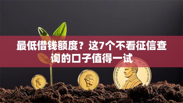 最低借钱额度？这7个不看征信查询的口子值得一试