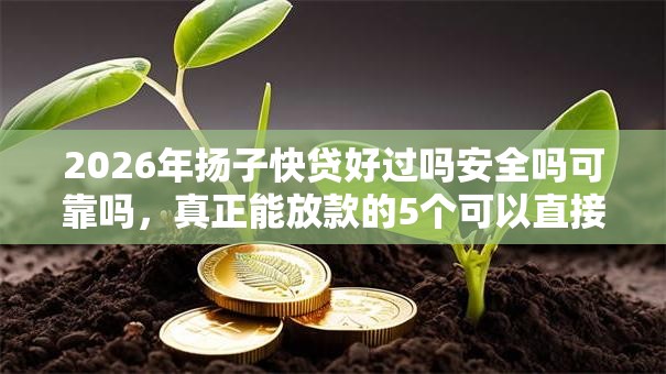 2026年扬子快贷好过吗安全吗可靠吗,真正能放款的5个可以直接放款到别人的银行卡里面的借钱软件推荐 2026年扬子快贷好过吗安全吗可靠吗,真正能放款的5个可以直接放款到别人的银行卡里面的借钱软件推荐
