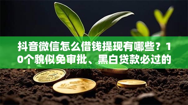 抖音微信怎么借钱提现有哪些？10个貌似免审批、黑白贷款必过的软件合集