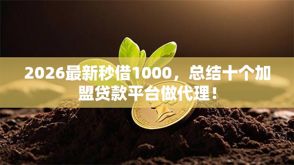 2026最新秒借1000,总结十个加盟贷款平台做代理! 2026最新秒借1000,总结十个加盟贷款平台做代理!