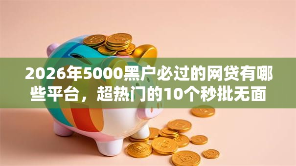 2026年5000黑户必过的网贷有哪些平台，超热门的10个秒批无面签贷款口子推荐