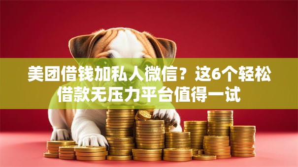 美团借钱加私人微信？这6个轻松借款无压力平台值得一试