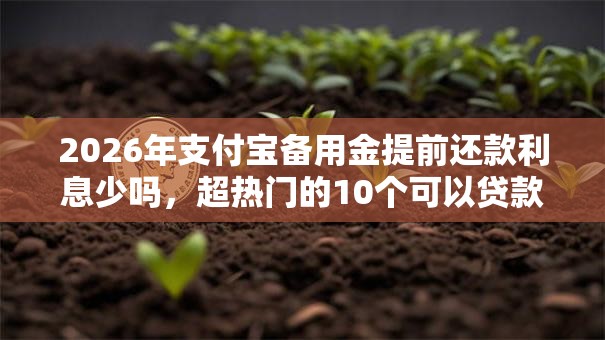 2026年支付宝备用金提前还款利息少吗,超热门的10个可以贷款的平台推荐 2026年支付宝备用金提前还款利息少吗,超热门的10个可以贷款的平台推荐