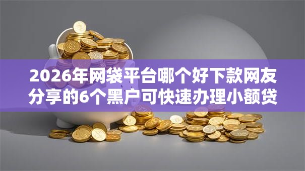 2026年网袋平台哪个好下款网友分享的6个黑户可快速办理小额贷款业务的平台我觉得不错！