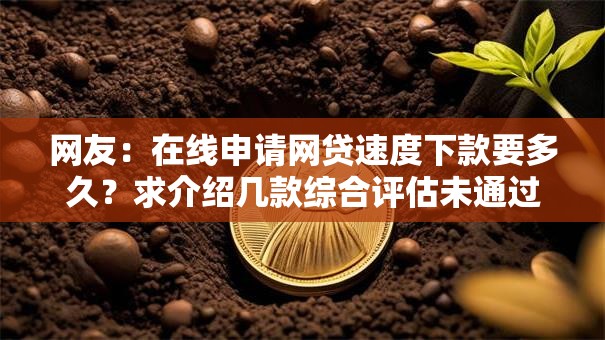 网友：在线申请网贷速度下款要多久？求介绍几款综合评估未通过平台可以借钱
