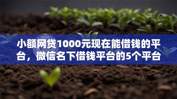 小额网贷1000元现在能借钱的平台，微信名下借钱平台的5个平台介绍