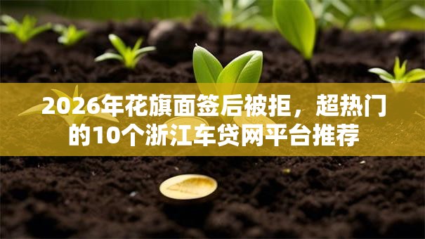 2026年花旗面签后被拒,超热门的10个浙江车贷网平台推荐 2026年花旗面签后被拒,超热门的10个浙江车贷网平台推荐