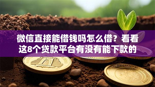 微信直接能借钱吗怎么借？看看这8个贷款平台有没有能下款的