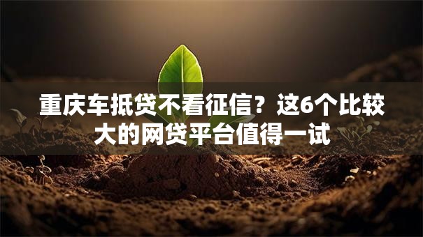 重庆车抵贷不看征信？这6个比较大的网贷平台值得一试