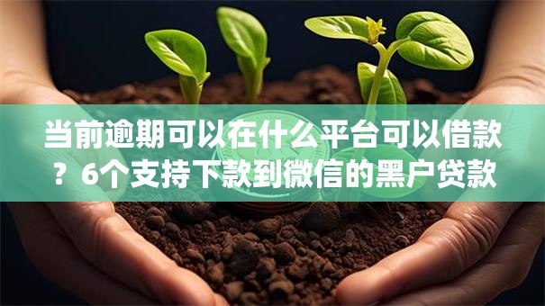 当前逾期可以在什么平台可以借款？6个支持下款到微信的黑户贷款的口子必下app