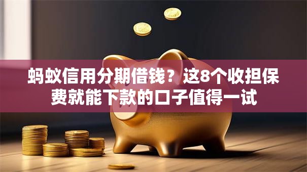 蚂蚁信用分期借钱？这8个收担保费就能下款的口子值得一试