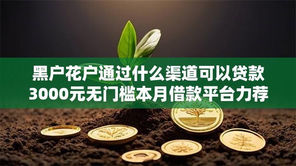 黑户花户通过什么渠道可以贷款3000元无门槛本月借款平台力荐！分享小额网贷口子3000元无门槛借款