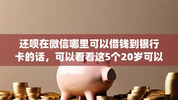 还呗在微信哪里可以借钱到银行卡的话，可以看看这5个20岁可以借钱平台不查征信的app