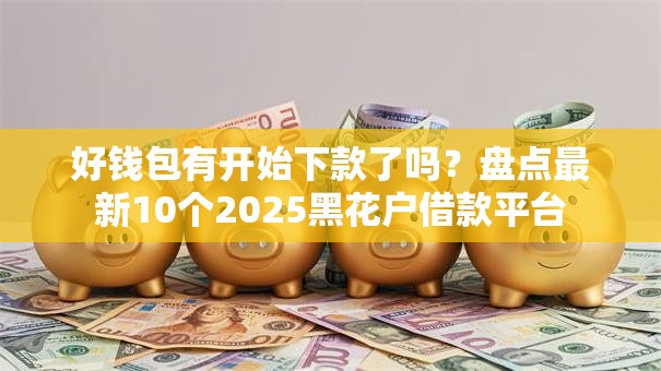 好钱包有开始下款了吗？盘点最新10个2025黑花户借款平台