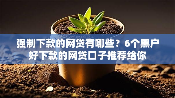 强制下款的网贷有哪些？6个黑户好下款的网贷口子推荐给你