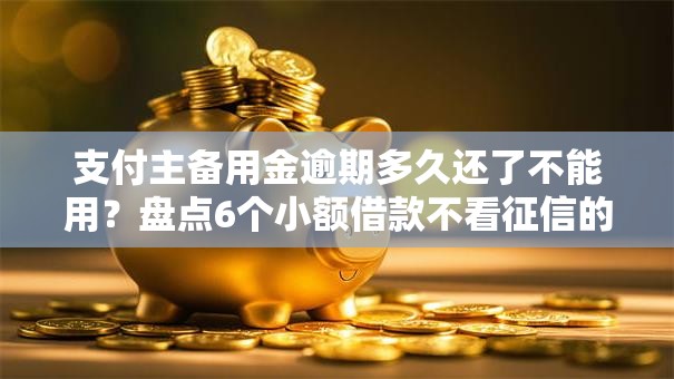 支付主备用金逾期多久还了不能用？盘点6个小额借款不看征信的平台给你参考