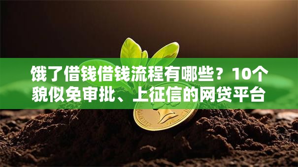 饿了借钱借钱流程有哪些？10个貌似免审批、上征信的网贷平台合集