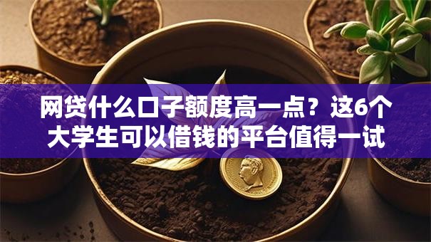 网贷什么口子额度高一点？这6个大学生可以借钱的平台值得一试