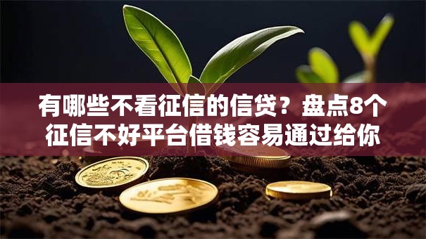 有哪些不看征信的信贷？盘点8个征信不好平台借钱容易通过给你参考