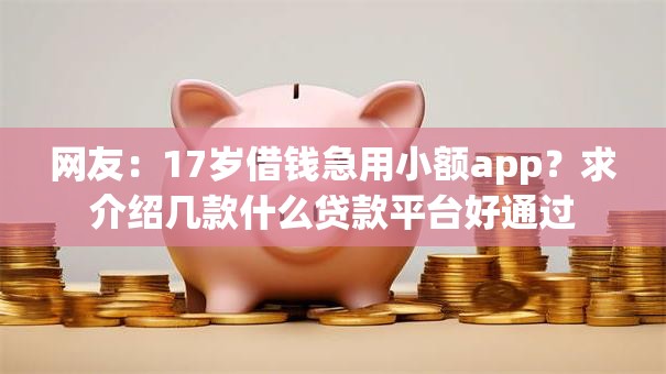 网友：17岁借钱急用小额app？求介绍几款什么贷款平台好通过
