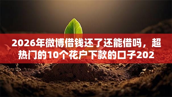 2026年微博借钱还了还能借吗，超热门的10个花户下款的口子2025推荐