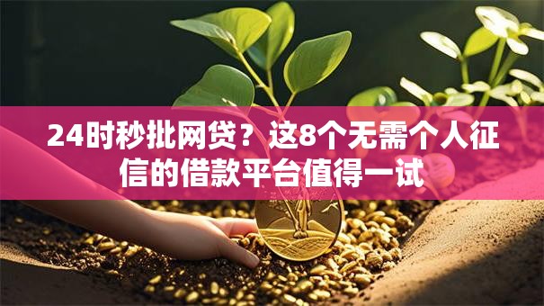 24时秒批网贷？这8个无需个人征信的借款平台值得一试