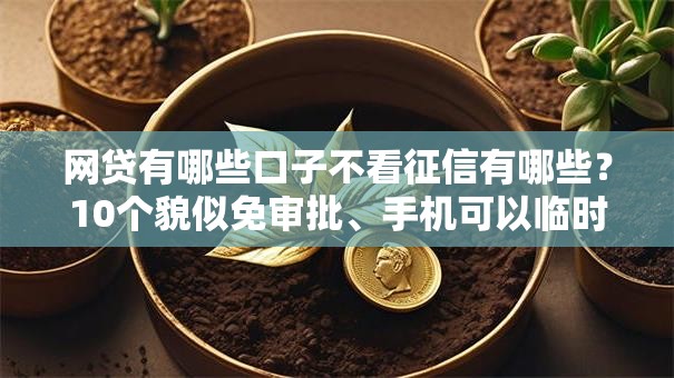 网贷有哪些口子不看征信有哪些?10个貌似免审批、手机可以临时借钱的软件合集 网贷有哪些口子不看征信有哪些?10个貌似免审批、手机可以临时借钱的软件合集
