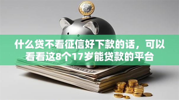 什么贷不看征信好下款的话，可以看看这8个17岁能贷款的平台