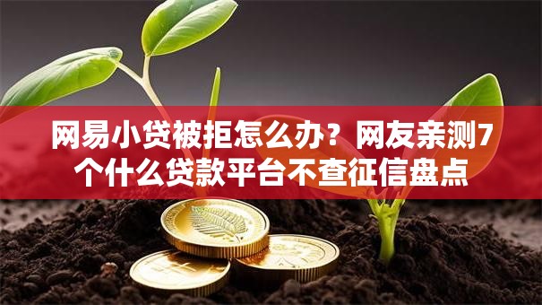 网易小贷被拒怎么办？网友亲测7个什么贷款平台不查征信盘点