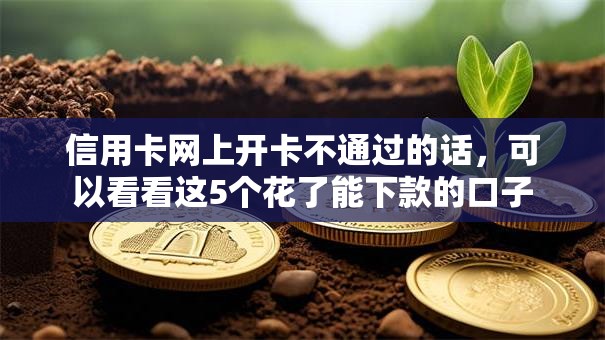 信用卡网上开卡不通过的话，可以看看这5个花了能下款的口子