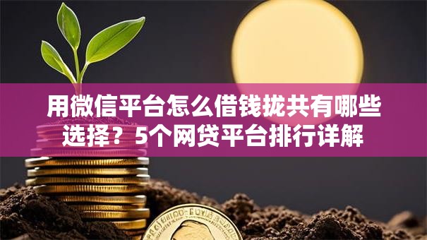 用微信平台怎么借钱拢共有哪些选择？5个网贷平台排行详解