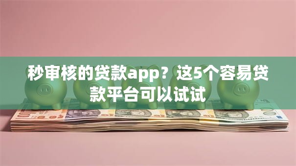 秒审核的贷款app？这5个容易贷款平台可以试试