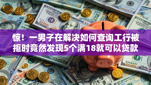 惊！一男子在解决如何查询工行被拒时竟然发现5个满18就可以贷款的平台，事后分享了出来