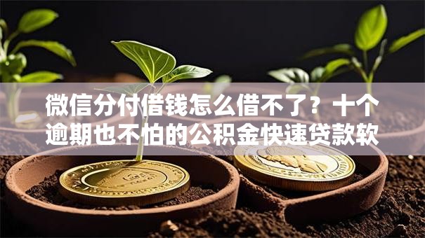 微信分付借钱怎么借不了？十个逾期也不怕的公积金快速贷款软件