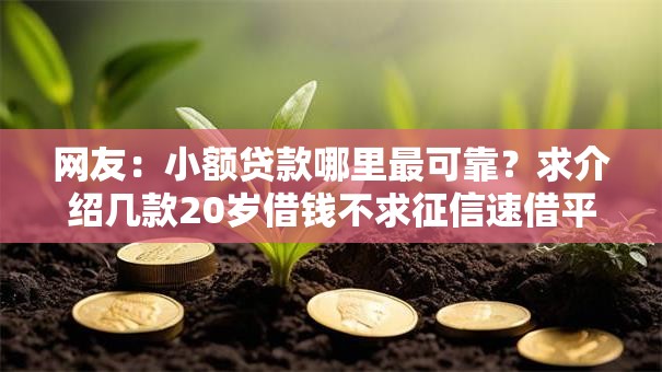 网友：小额贷款哪里最可靠？求介绍几款20岁借钱不求征信速借平台