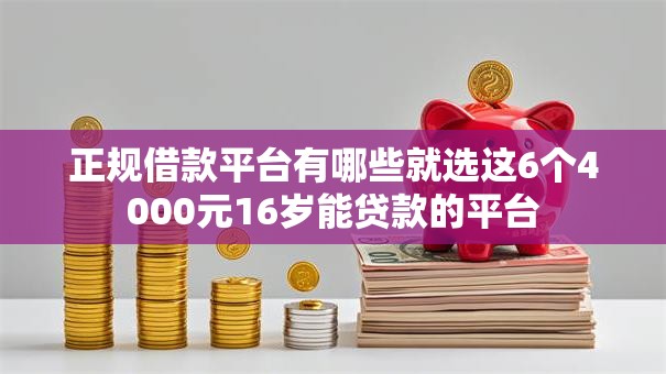 正规借款平台有哪些就选这6个4000元16岁能贷款的平台