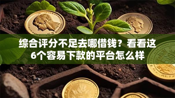 综合评分不足去哪借钱？看看这6个容易下款的平台怎么样